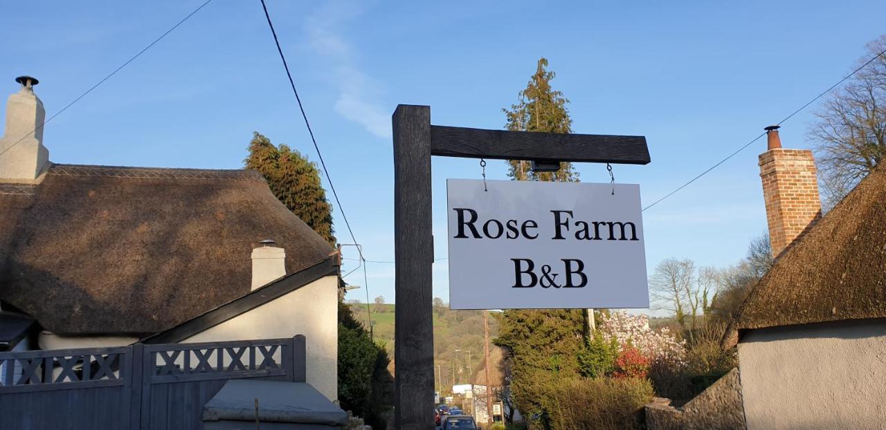 Rose Farm